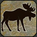 Stone mosaic silhouette moose.